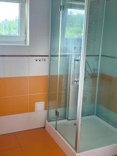a shower with a glass door in a bathroom at Chata U Druhé pískovny in Roudná