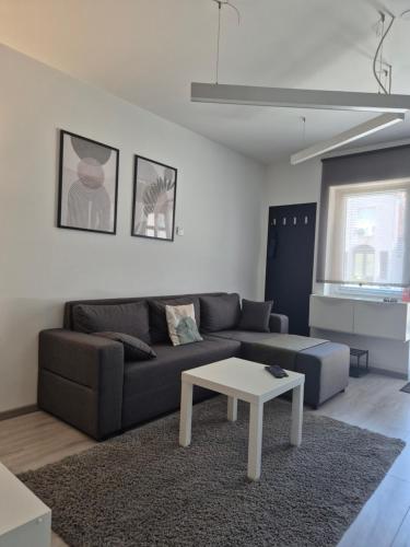 a living room with a couch and a coffee table at Studio Apartman 47A in Valjevo