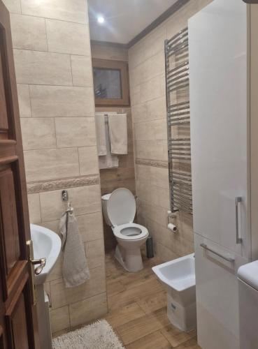 a bathroom with a toilet and a sink at Vila Lenka in Rtanj