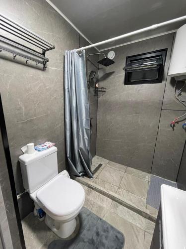 a bathroom with a toilet and a shower at Банрхаус in Cholpon-Ata