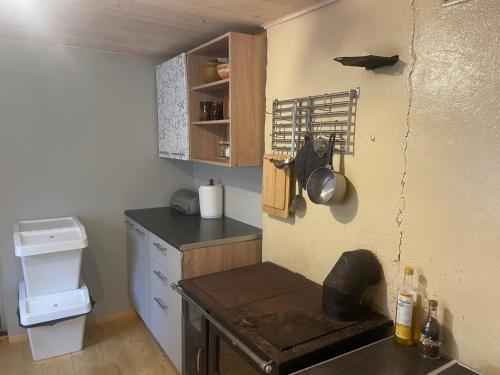 a small kitchen with a sink and a stove at Ventlejas in Strakši