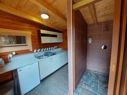 a kitchen with a sink and a shower in a cabin at VILA v ZAHRADÁCH in Uherské Hradiště