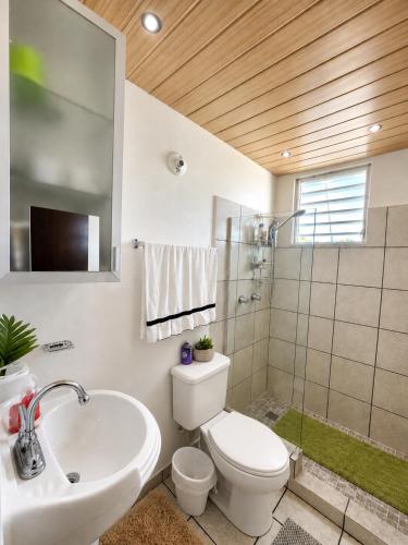 a bathroom with a white toilet and a sink at Natural Village ROOM #1,2,3 & 5 in San Juan