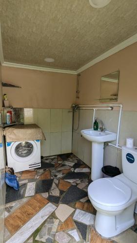 a bathroom with a toilet and a sink and a washing machine at Lali`s Guest House in Juta in Jut'a
