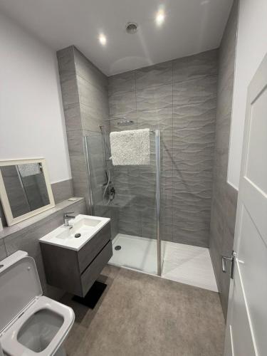 ein Badezimmer mit Dusche, Toilette und Waschbecken in der Unterkunft The Loft, FlatB, Redditch in Redditch
