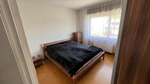 a bedroom with a bed and a window at Apartment Kristian in Selnica ob Dravi