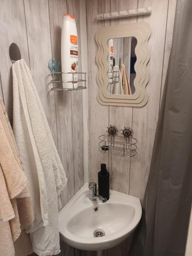 a bathroom with a sink and a mirror at CHILLY WILLY Retro Caravan & Hot Tub in Jablonov nad Turnou