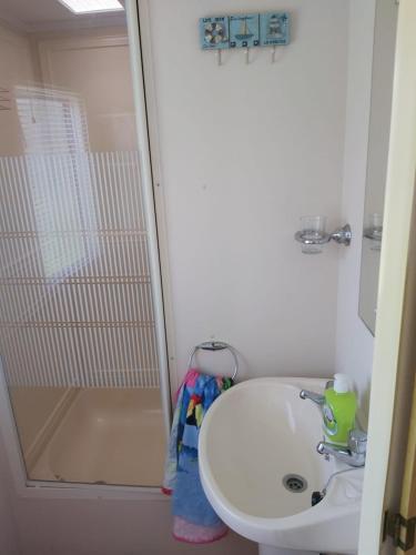 a bathroom with a sink and a shower at Sky house in Jūrmala