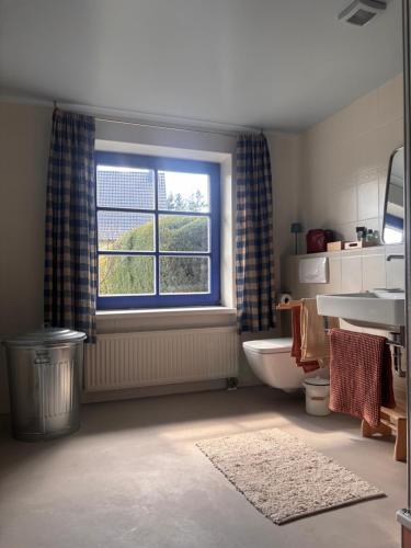 a bathroom with a window and a toilet and a sink at Alte Fischerhütte Darss in Wieck