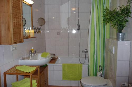 a bathroom with a sink and a shower curtain at Altes Kontor in Bad Sulza