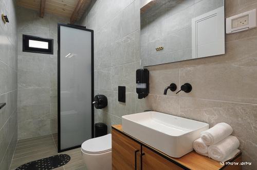 a bathroom with a sink and a toilet at Novus Luxury in Yarka