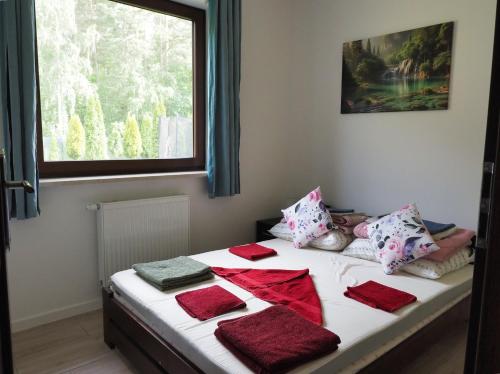 a bedroom with a bed with pillows and a window at Apartamenty bez barier in Rydzewo