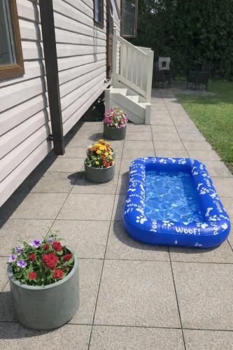 a blue inflatable bed sitting on a patio with flowers at Haven Lakeland 3 Bed Luxury Caravan in Flookburgh