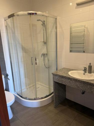 a bathroom with a shower and a sink at Pensjonat Trzy Stawy in Jelcz