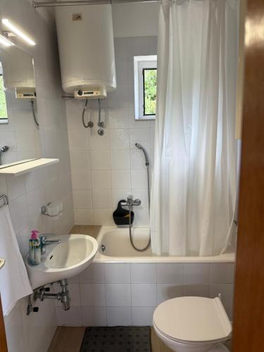 a bathroom with a sink and a shower and a toilet at Apartman Emilija in Vinišće