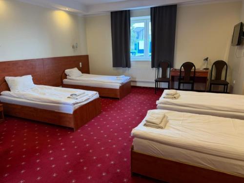 a hotel room with three beds and a red carpet at Pensjonat Trzy Stawy in Jelcz