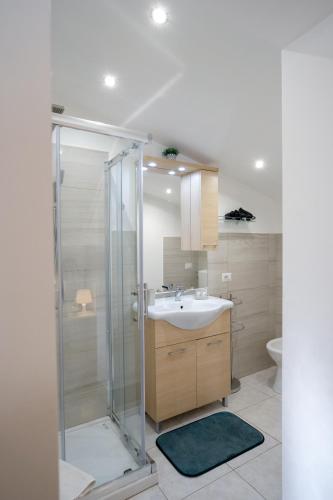 a bathroom with a shower and a sink and a toilet at Terrazza con vista in Nicosia