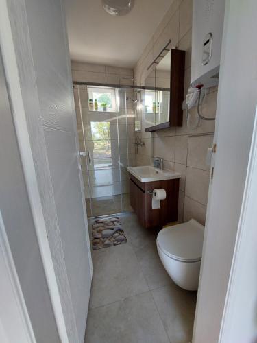 a bathroom with a toilet and a sink at Secret Garden House in Surduk
