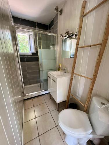a bathroom with a toilet and a shower and a sink at Chez Christelle in Audenge
