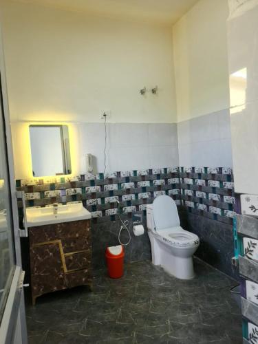 a bathroom with a toilet and a sink and a mirror at Zim Retreat Tsokar in Pongunagu