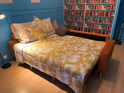 a bed in a room with a book shelf at Le Gîte Martin in Quillan