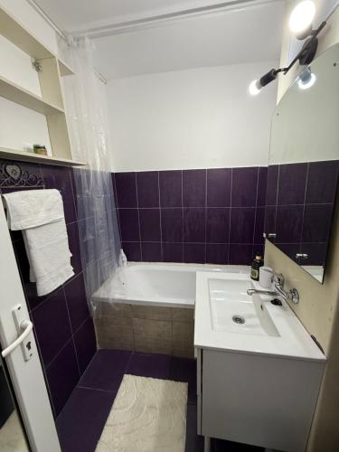 a bathroom with a tub and a sink and a bath tub at Home Studio Arad in Arad