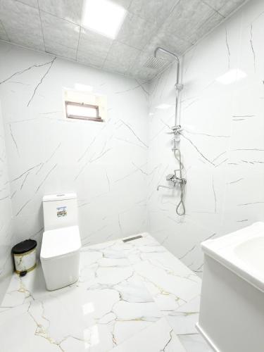 a white bathroom with a toilet and a sink at Lerik Forest House in Lerik