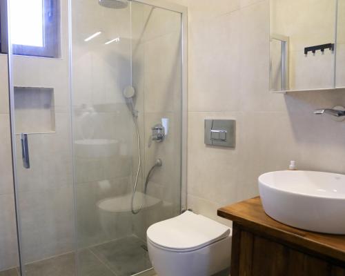 a bathroom with a shower and a toilet and a sink at Petra Evleri in Örencik