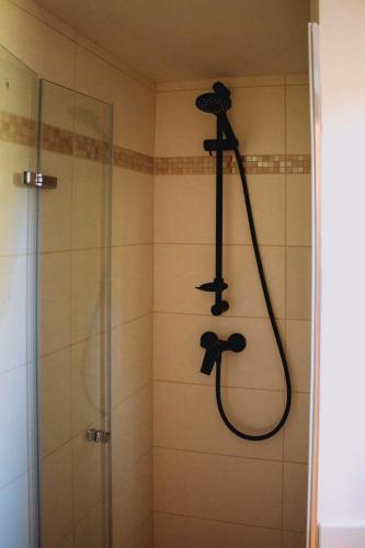 a shower with a shower head in a bathroom at Statek ráj Netvořice, Tiny house and Farm Experience in Netvořice