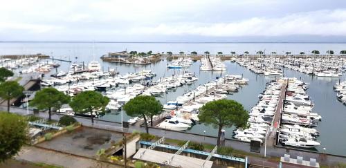 Belle Vue bassin d arcachon