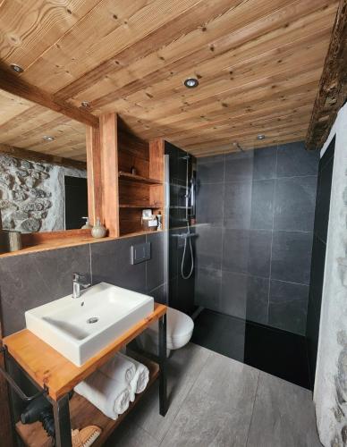 a bathroom with a sink and a toilet at Chalet Cannelle in Châtel