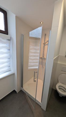 a bathroom with a shower and a toilet at Ferienwohnung Lehmann in Wolfenbüttel