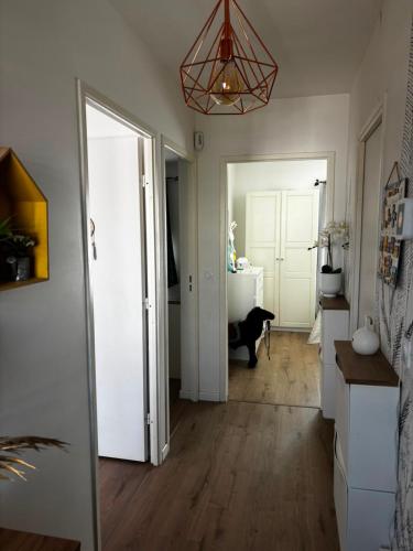 a hallway with a black cat sitting in a room at Disney - Résidence Juan Valera in Vaujours