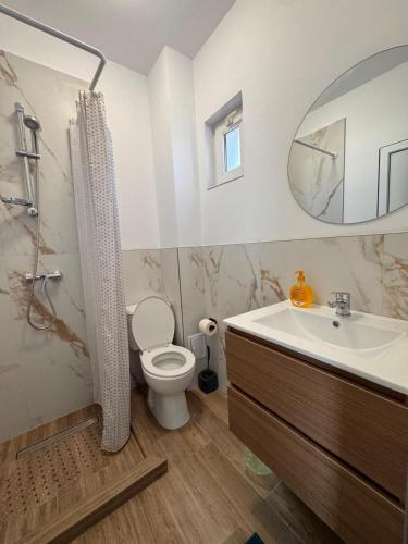a bathroom with a toilet and a sink and a mirror at Vila Happy House in Costinesti