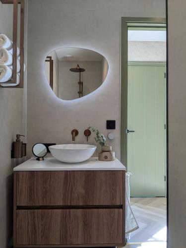 a bathroom with a sink and a mirror at B&B Het Houten Huis in Brandwijk