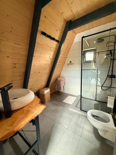 a bathroom with a glass shower and a toilet at Nature View Breaza in Breaza de Sus