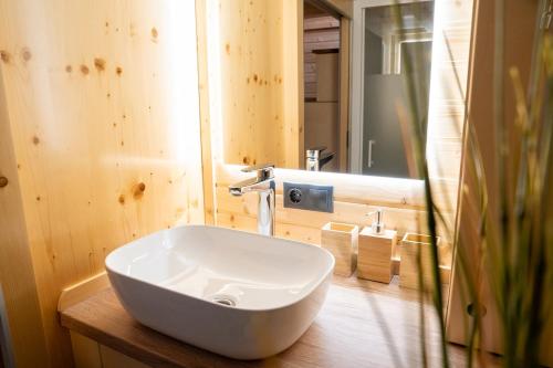 a bathroom with a white sink and a mirror at Tiny House nähe Millstättersee mit Hot Tub in Oberkolbnitz