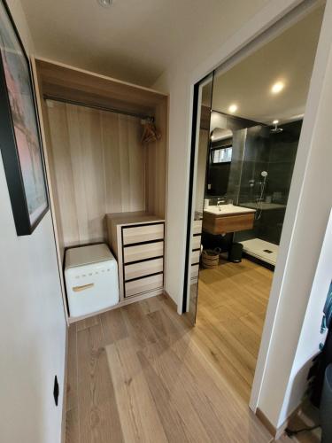 a bathroom with a closet with a sink and a mirror at A n n e x e in Dinard