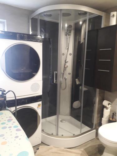 a bathroom with a shower with a microwave and a toilet at Noclegi u Beaty in Dubiecko