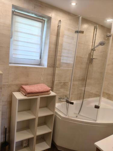 a bathroom with a shower and a tub and a sink at Domek Magellan Cisna 11 in Cisna