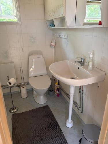 a small bathroom with a sink and a toilet at Havsnära fritidshus in Åhus