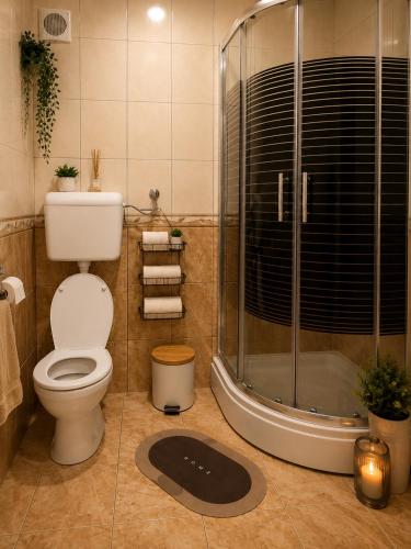a bathroom with a shower and a toilet and a sink at New Moment in Žarkovo
