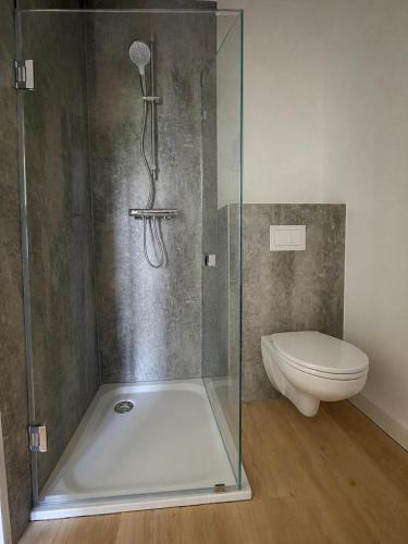 a shower with a glass door next to a toilet at Nordsee-Hotel in Butjadingen