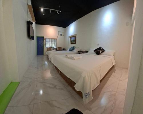 a large room with two beds in it at 龍磐1號民宿 全家出遊首選1至12人包棟 均一價 免爬梯獨棟平房 三間獨立套房 寬敞庭院可烤肉 in Eluan