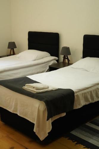 two beds sitting next to each other in a room at Hotel Lemi in Mestia