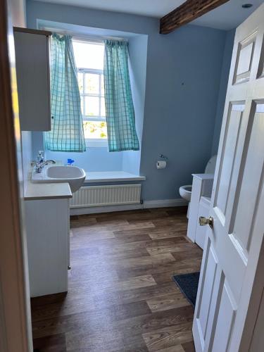 a blue bathroom with a sink and a window at Towler's Chemist in Kirkbymoorside