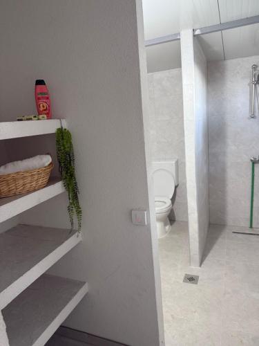 a bathroom with a white toilet and a sink at Kucice MMM in Donji Štoj