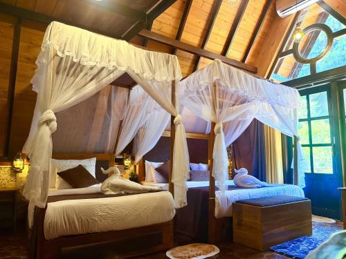 a bedroom with two beds with mosquito nets at Cinnamon River Cabana in Ella