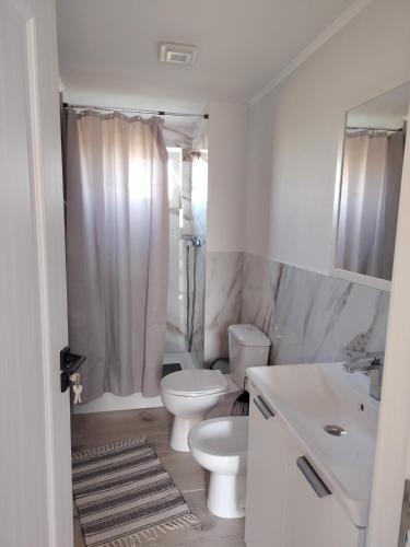 a white bathroom with a toilet and a sink at Casa Joe in Corbu