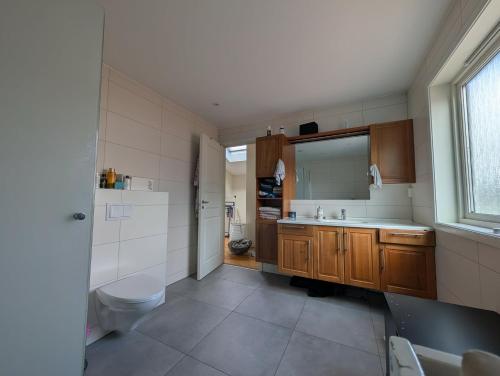 a bathroom with a toilet and a sink and a mirror at Kongleveien 11C in Sandnes